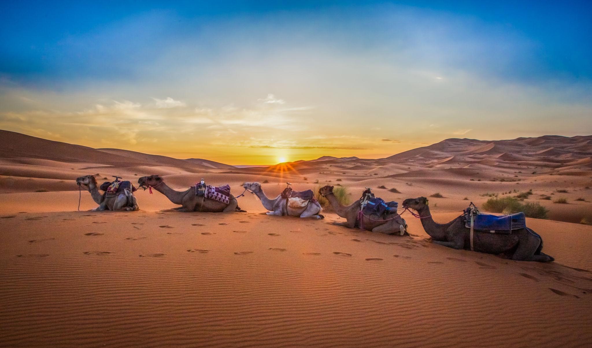 Une semaine au Maroc : Marrakech, désert & Essaouira en aventure inoubliable