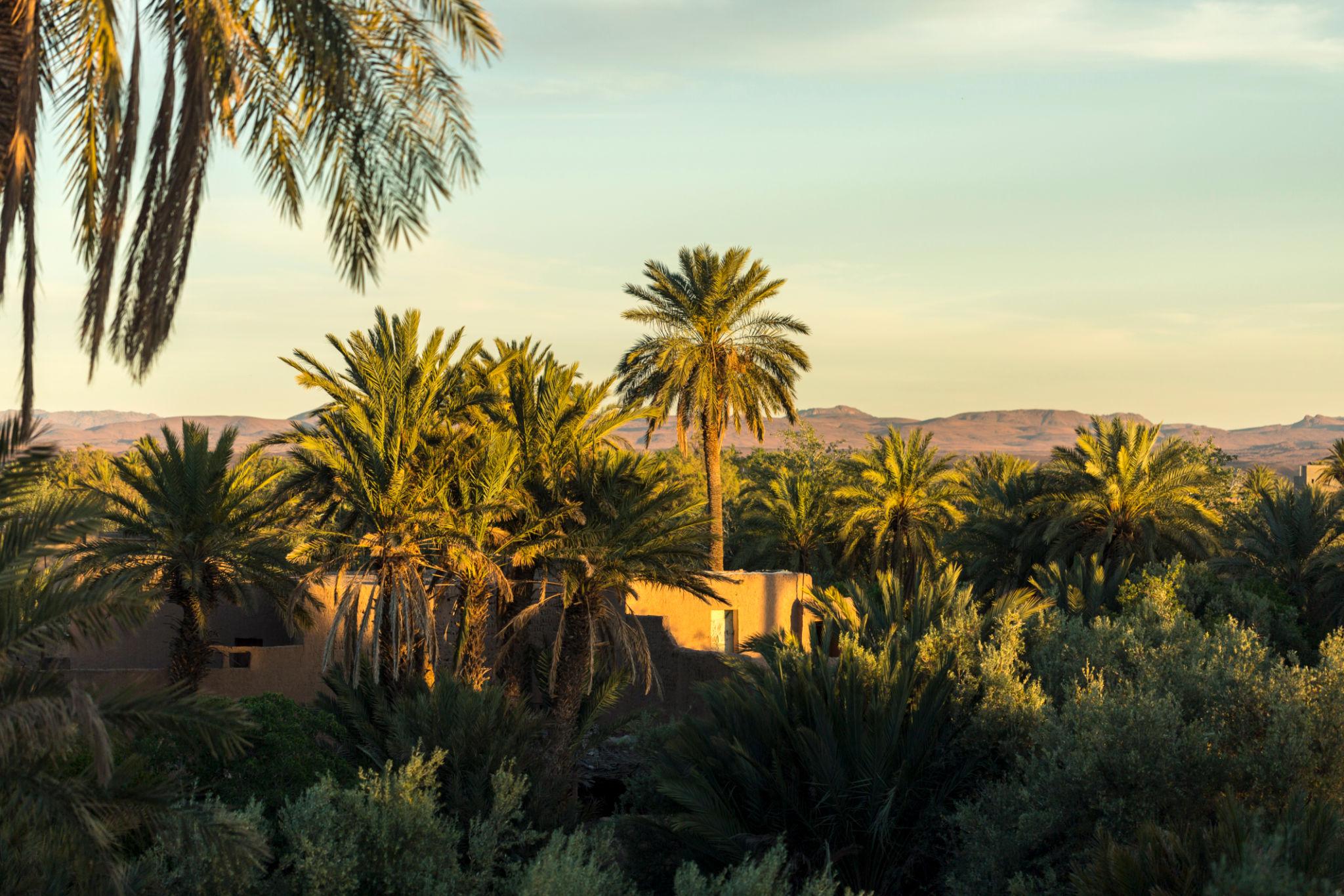 Imperial Cities & Desert Circuit – 12 Days / 11 Nights - photo 1