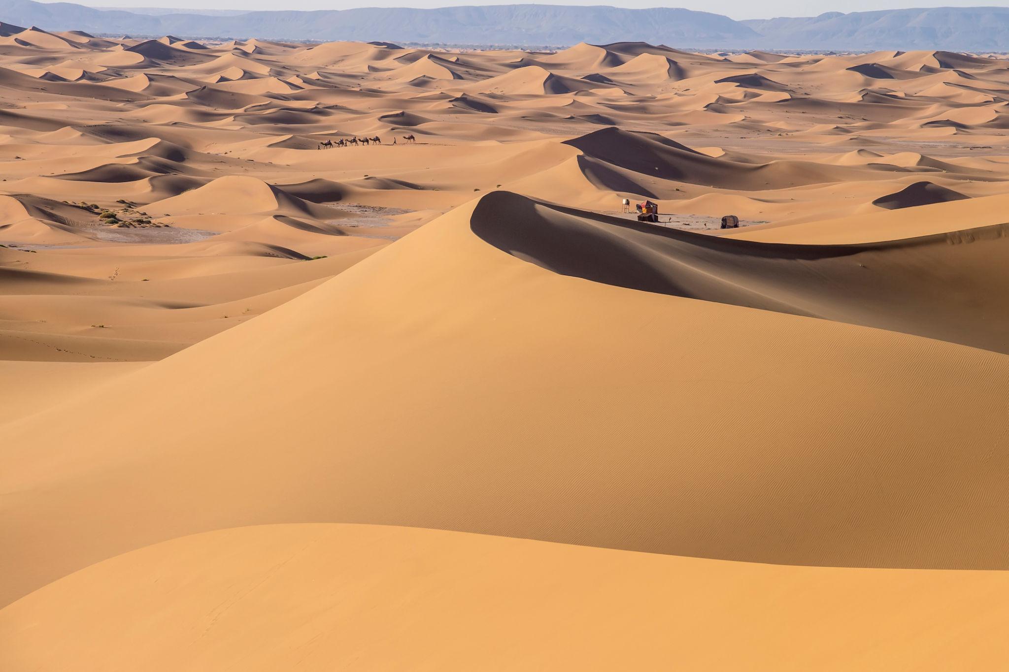 The Mysteries of the Desert (5 days / 4 nights) - photo 2