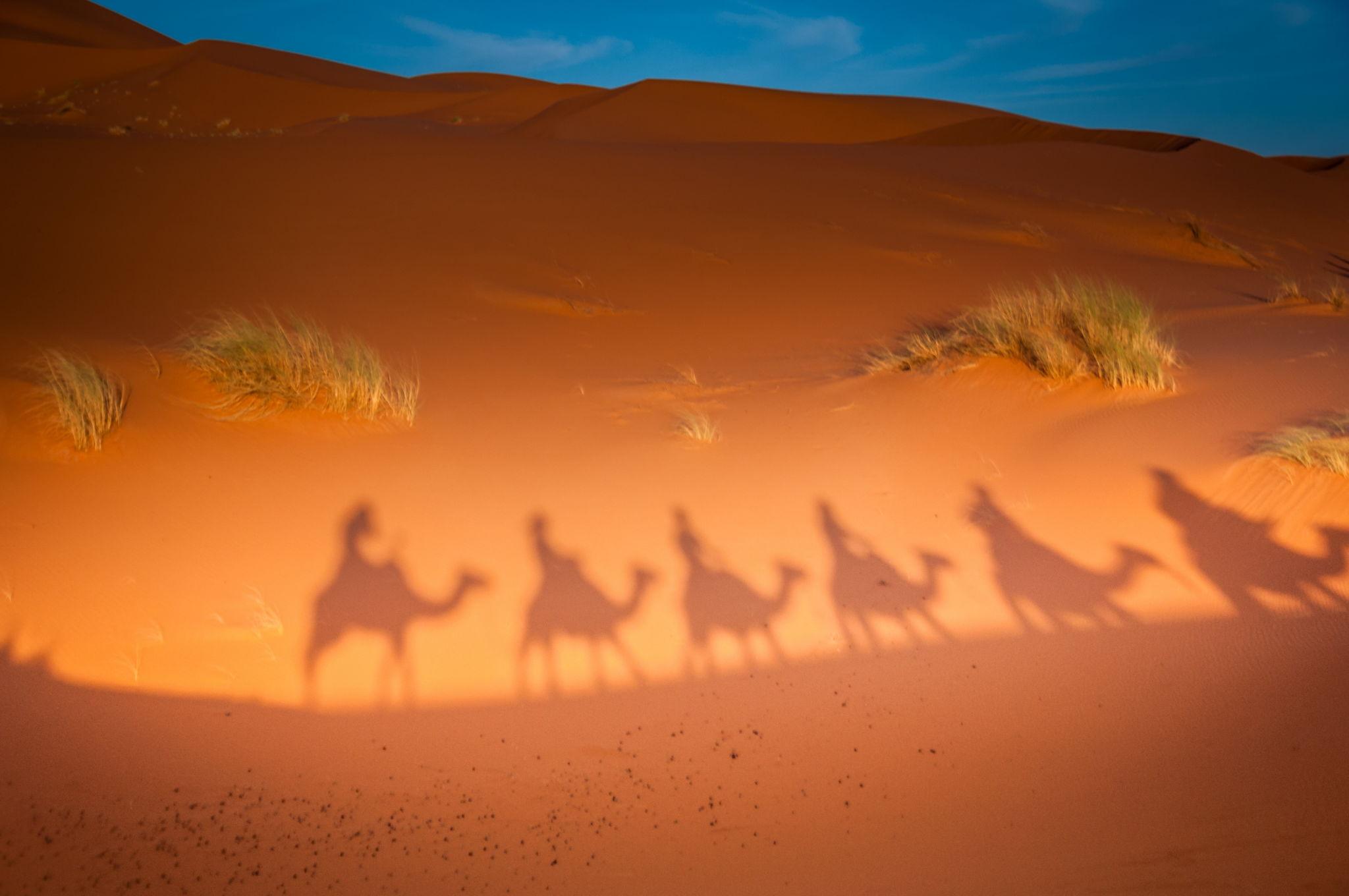 6-Day Group Tour to Zagora & Merzouga - photo 2