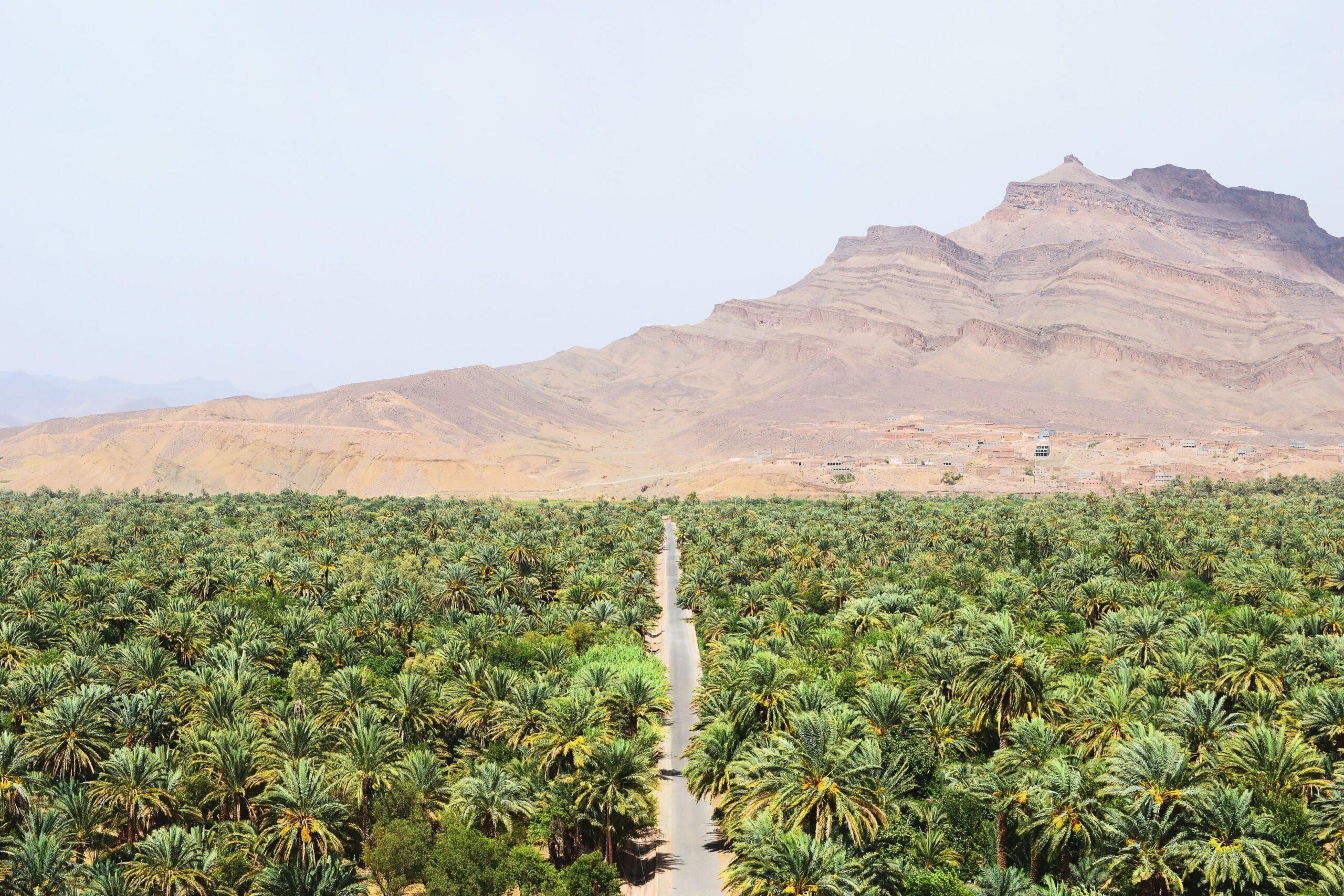 6-Day Group Tour to Zagora & Merzouga - photo 3