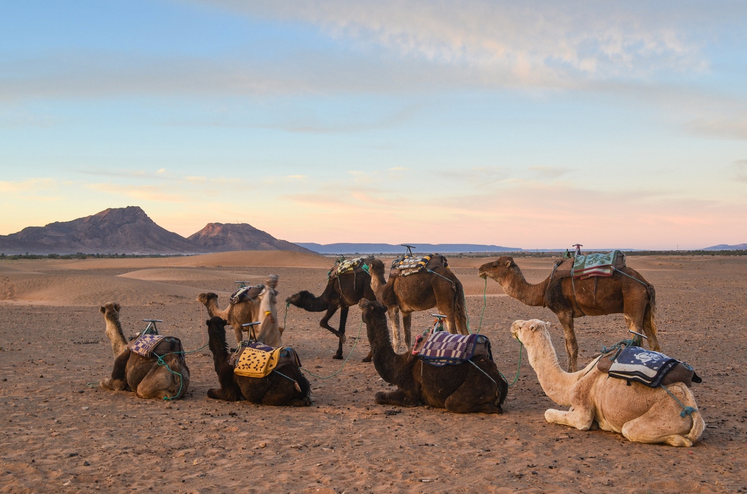 2 Jours au Désert de Zagora