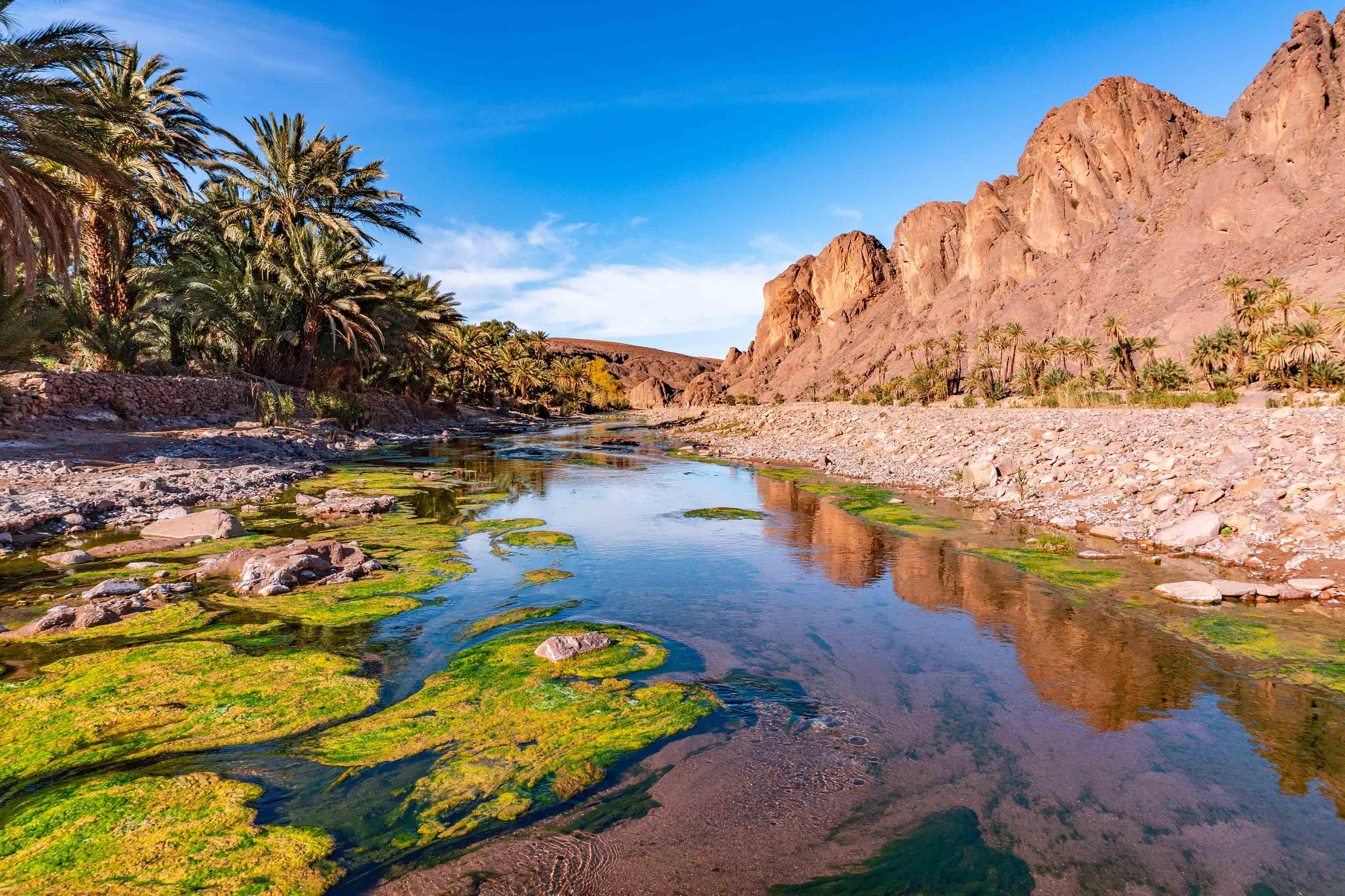 Excursion 2-Jours à Ouarzazate - photo 2