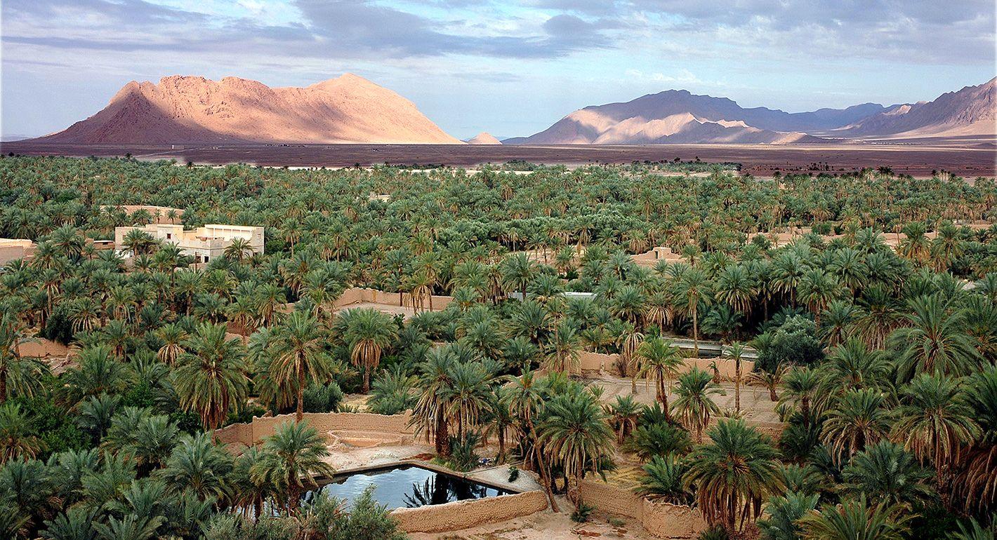 Merzouga – Rissani – Nqob – Tamnougalte – Ouarzazate - Marrakech