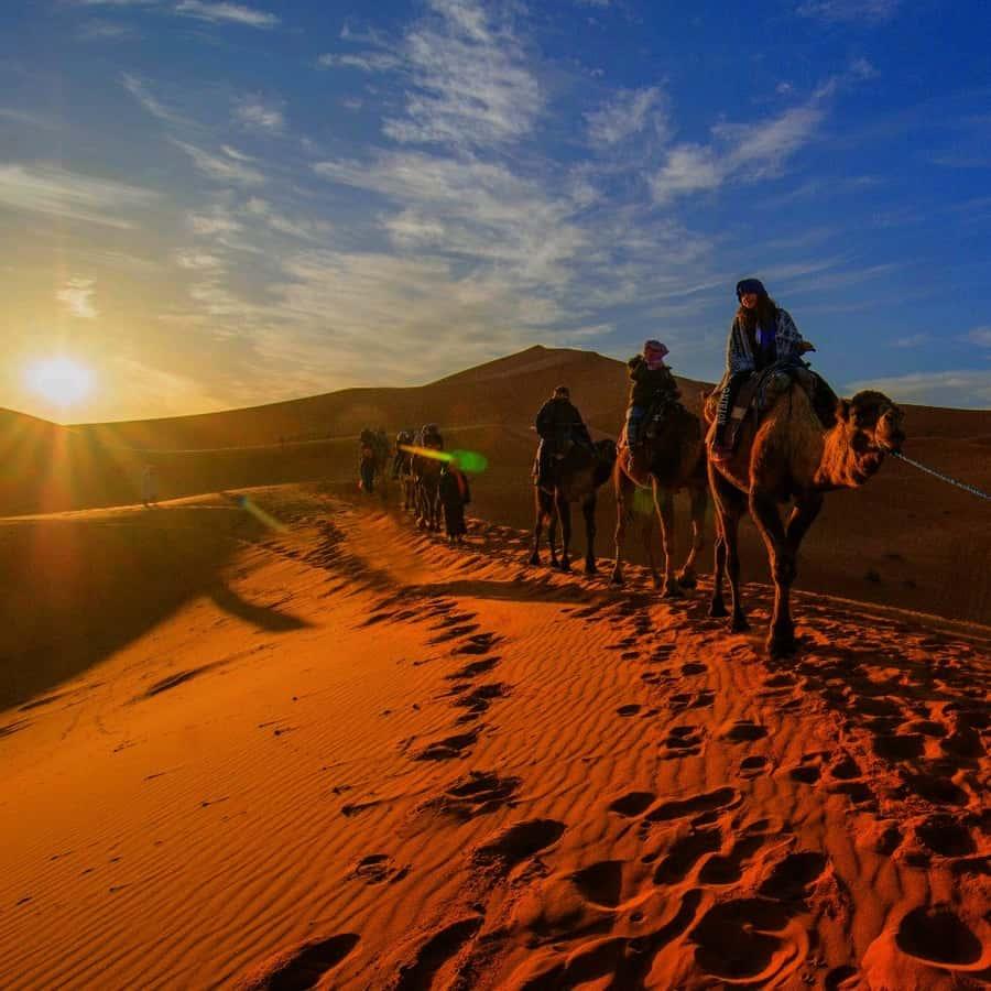 Marrakech – Aït Ben Haddou – Vallée du Drâa – Zagora