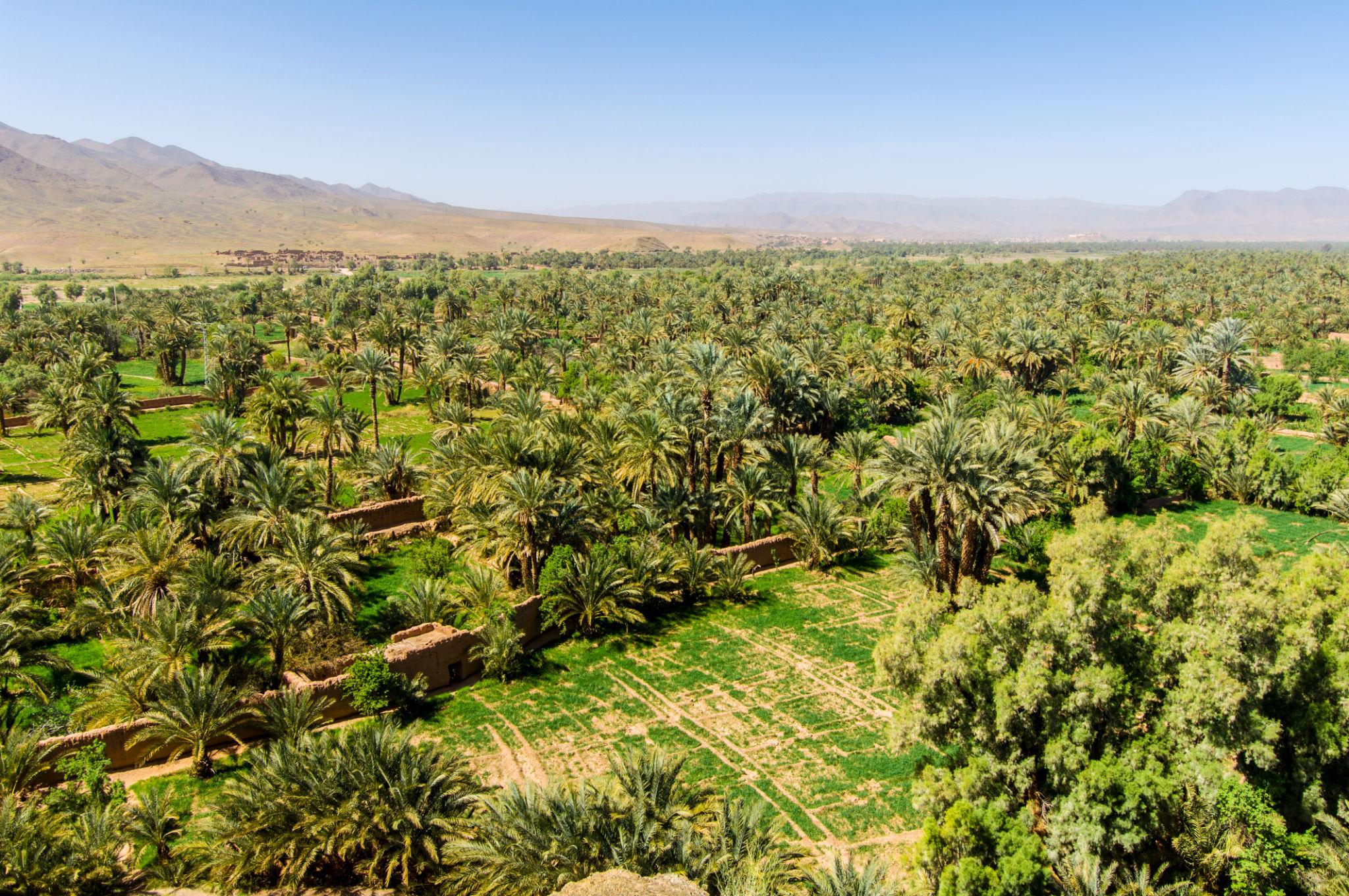 Marrakech - Col de Tizi n’Tichka - Ait Benhaddou - Ouarzazate - Zagora (400 km)